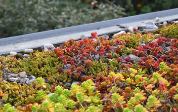 the cost of Purlpit green roof installation