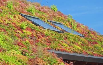 Purlpit living roof systems