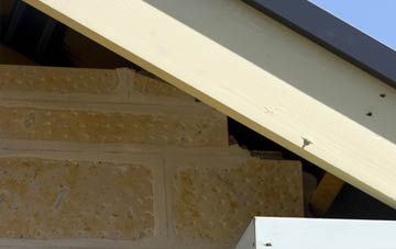 soffit repair Purlpit