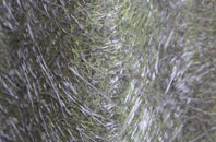 Purlpit fibreglass roof work