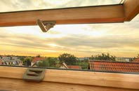 rated Purlpit roof window companies