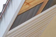 rated Purlpit soffit repair companies